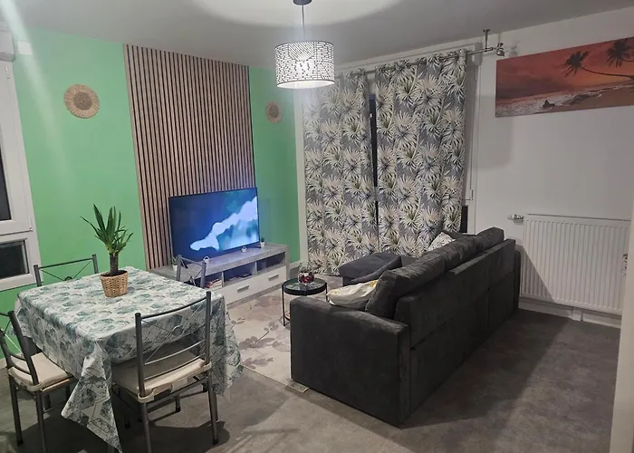 Grand Appartement 2 Pieces En Residence