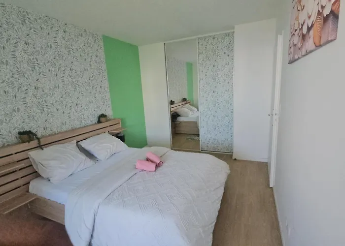 Grand Appartement 2 Pieces En Residence