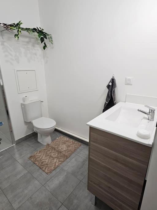 Grand 2 Pieces En Jouy-le-Moutier